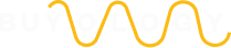 Buyology E-commerce Logo